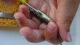 scimabio marquage PIT tag truite
