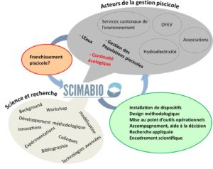 SCIMABIO interface science gestion