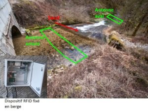 antennes RFID Tacon Scimabio PIT tag